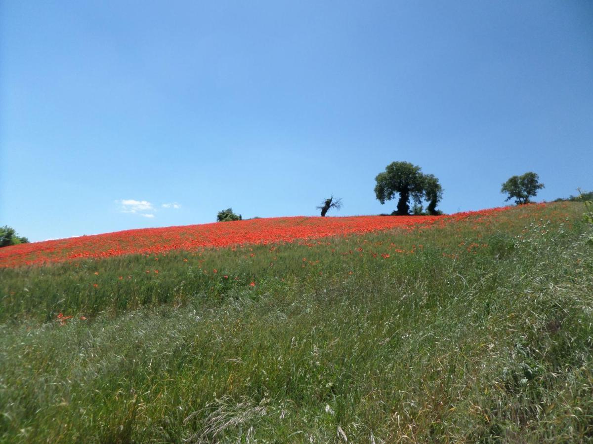 B&B Casa Cuccagna Fratte Rosa Екстер'єр фото